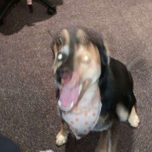 Meet your Posher, Jayme